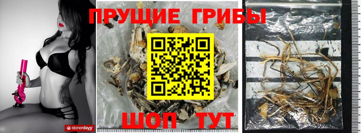 Псилоцибиновые грибы Psilocybine cubensis  где найти   Ртищево  Псилоцибиновые грибы MAGIC MUSHROOMS  Вход с VPN 